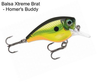 Balsa Xtreme Brat - Homer\'s Buddy