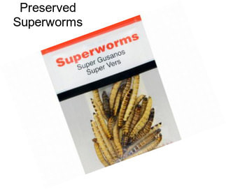 Preserved Superworms