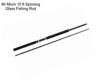 Mr Micro 10 ft Spinning Glass Fishing Rod