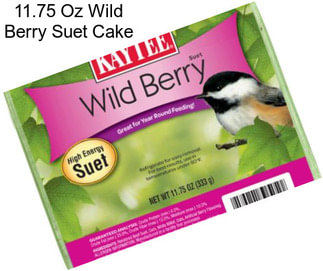 11.75 Oz Wild Berry Suet Cake