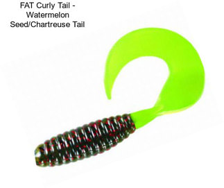 FAT Curly Tail - Watermelon Seed/Chartreuse Tail