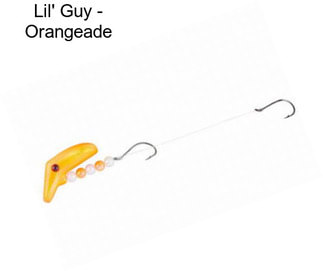 Lil\' Guy - Orangeade