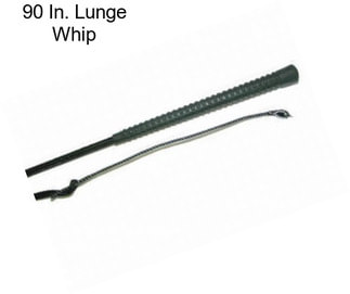 90 In. Lunge Whip