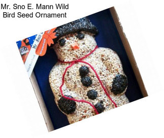 Mr. Sno E. Mann Wild Bird Seed Ornament