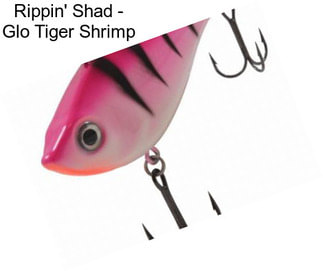 Rippin\' Shad - Glo Tiger Shrimp