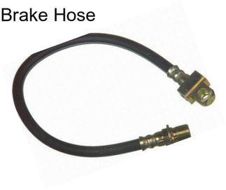 Brake Hose