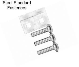 Steel Standard Fasteners