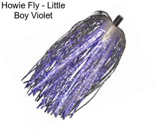 Howie Fly - Little Boy Violet
