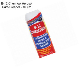 B-12 Chemtool Aerosol Carb Cleaner - 16 Oz.