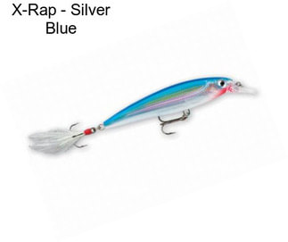 X-Rap - Silver Blue