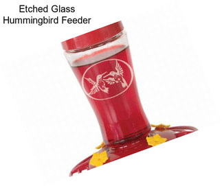 Etched Glass Hummingbird Feeder
