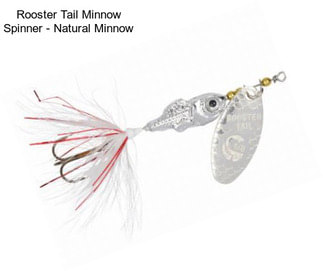 Rooster Tail Minnow Spinner - Natural Minnow