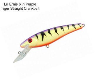 Lil\' Ernie 6 in Purple Tiger Straight Crankbait