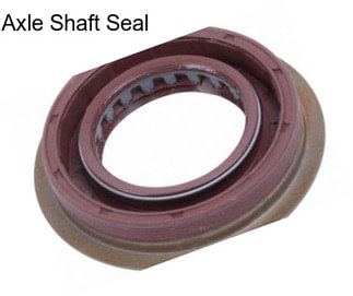 Axle Shaft Seal