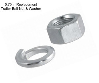 0.75 in Replacement Trailer Ball Nut & Washer