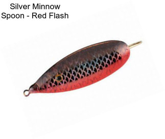 Silver Minnow Spoon - Red Flash