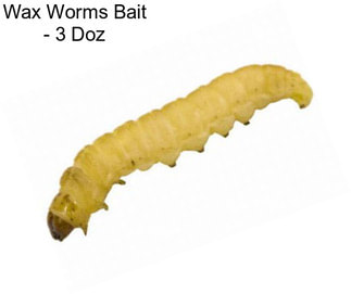 Wax Worms Bait - 3 Doz