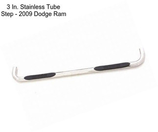 3 In. Stainless Tube Step - 2009 Dodge Ram