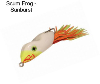 Scum Frog - Sunburst