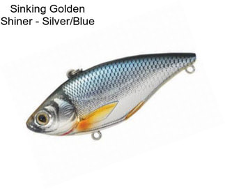 Sinking Golden Shiner - Silver/Blue