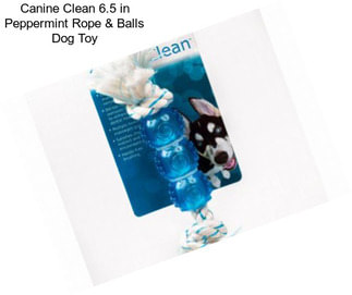 Canine Clean 6.5 in Peppermint Rope & Balls Dog Toy