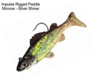 Impulse Rigged Paddle Minnow - Silver Shiner