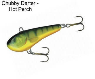 Chubby Darter - Hot Perch