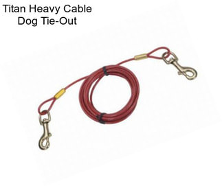 Titan Heavy Cable Dog Tie-Out