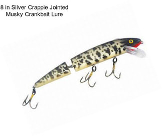 8 in Silver Crappie Jointed Musky Crankbait Lure