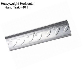 Heavyweight Horizontal Hang Trak - 40 In.