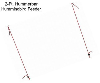 2-Ft. Hummerbar Hummingbird Feeder