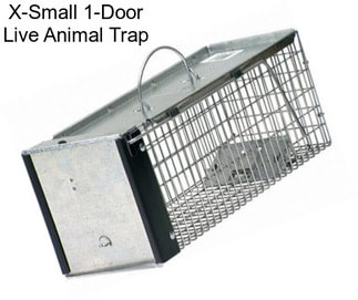 X-Small 1-Door Live Animal Trap