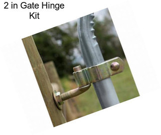 2 in Gate Hinge Kit