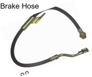 Brake Hose