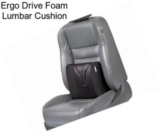 Ergo Drive Foam Lumbar Cushion