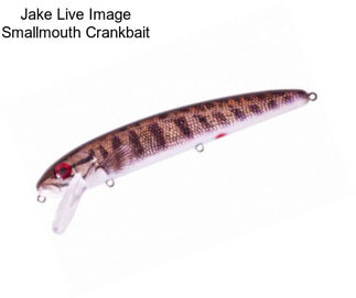 Jake Live Image Smallmouth Crankbait