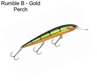 Rumble B - Gold Perch