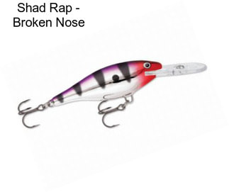 Shad Rap - Broken Nose