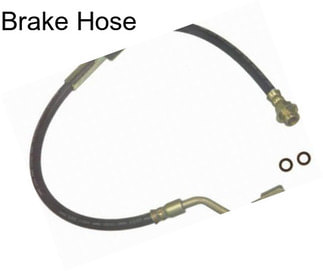 Brake Hose