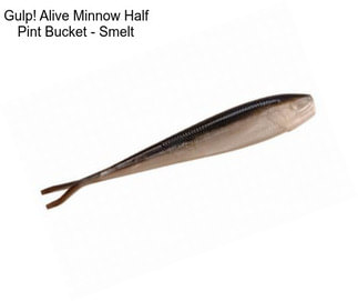 Gulp! Alive Minnow Half Pint Bucket - Smelt