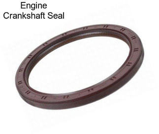 Engine Crankshaft Seal