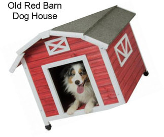 Old Red Barn Dog House