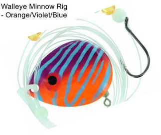 Walleye Minnow Rig - Orange/Violet/Blue