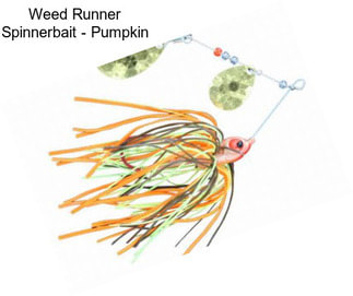 Weed Runner Spinnerbait - Pumpkin