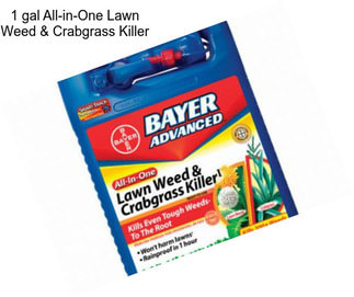 1 gal All-in-One Lawn Weed & Crabgrass Killer