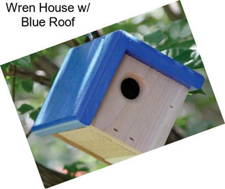 Wren House w/ Blue Roof