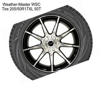 Weather-Master WSC Tire 205/50R17XL 93T