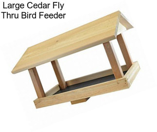 Large Cedar Fly Thru Bird Feeder