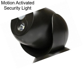 Motion Activated Security Light