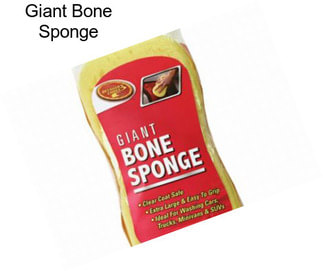 Giant Bone Sponge